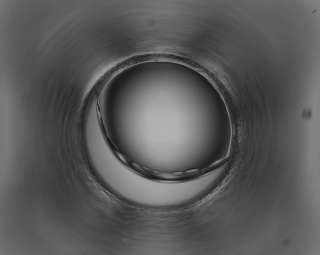 X0000090931069200708271040