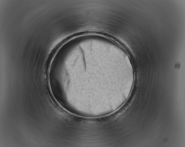 X0000090931070200708271040