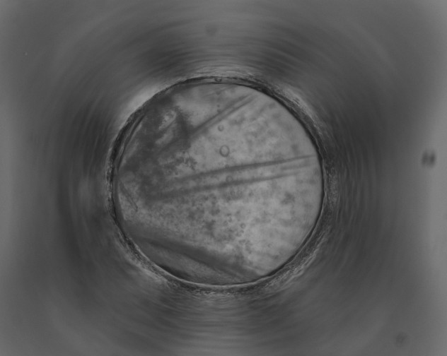 X0000090931071200708271040