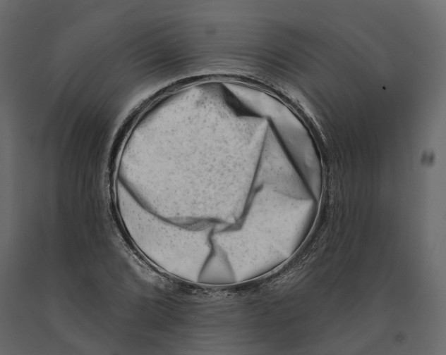 X0000090931072200708271040