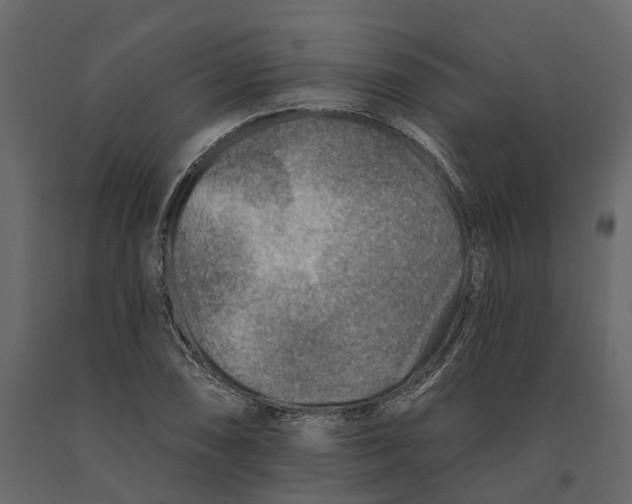 X0000090931074200708271040