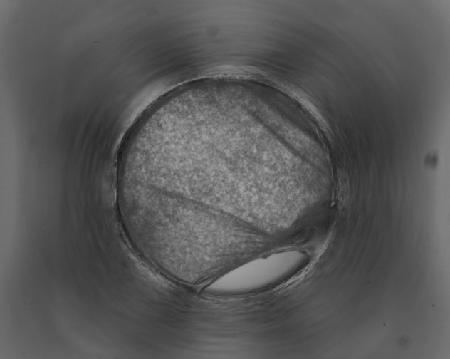 X0000090931075200708271040