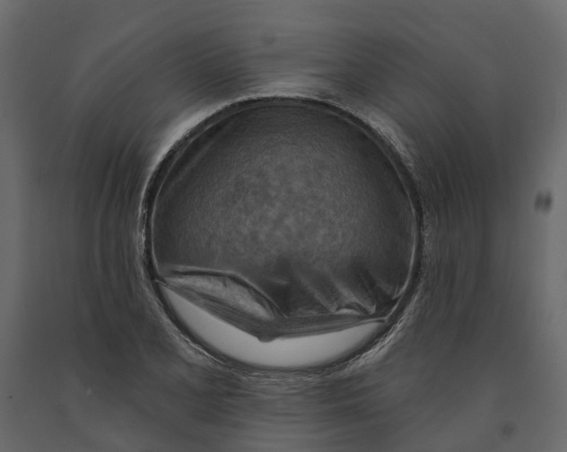 X0000090931077200708271040