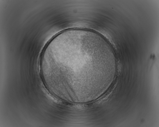 X0000090931078200708271040