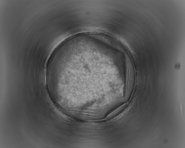 X0000090931079200708271040