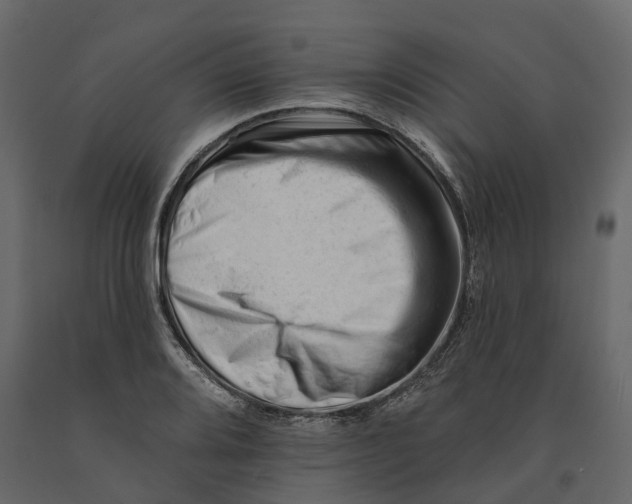 X0000090931080200708271040