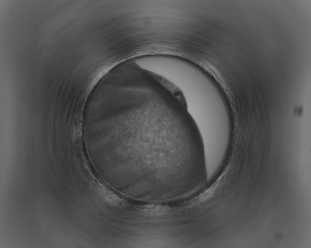 X0000090931081200708271040