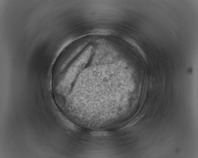 X0000090931083200708271040