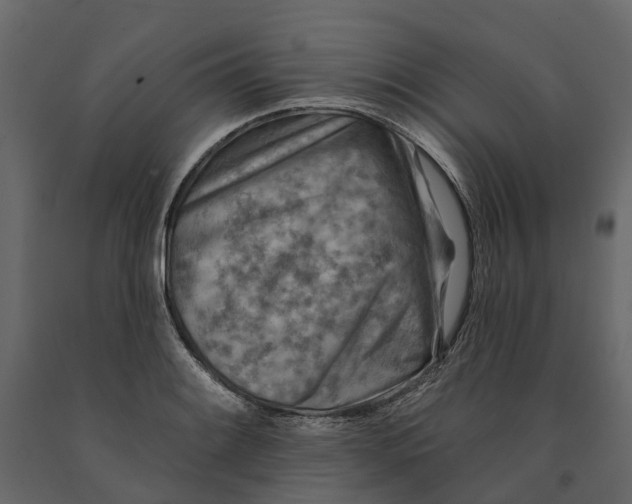 X0000090931084200708271040