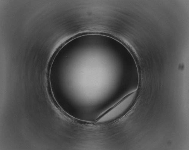 X0000090931085200708271040