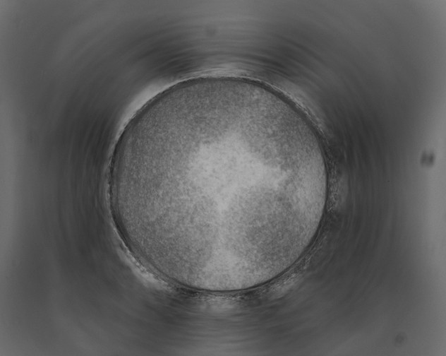 X0000090931086200708271040