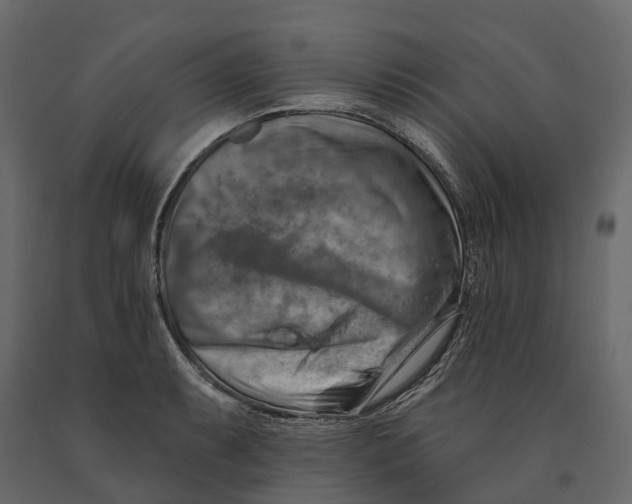 X0000090931087200708271040