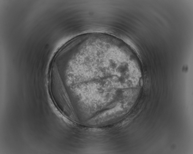 X0000090931088200708271040