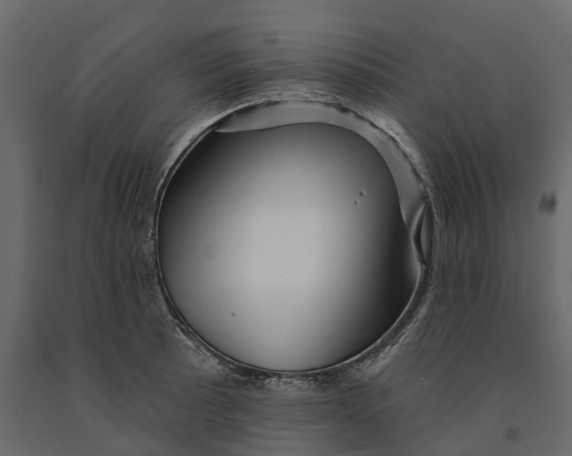 X0000090931089200708271040