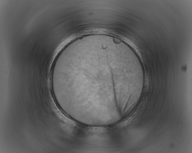 X0000090931090200708271040