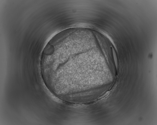 X0000090931091200708271040