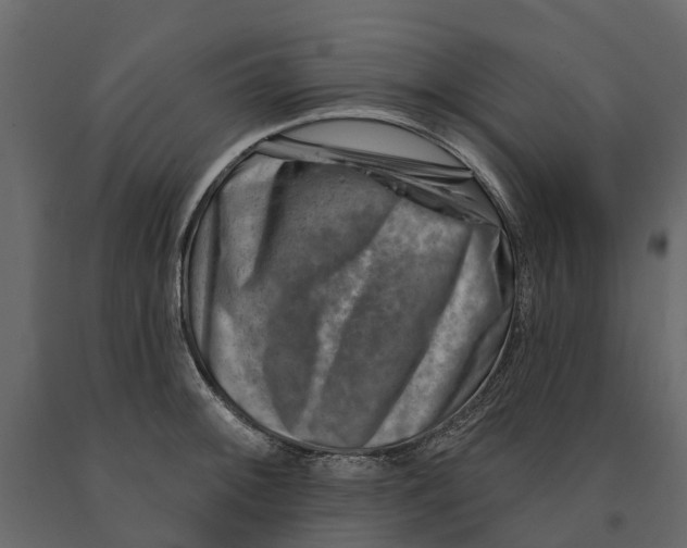 X0000090931092200708271040