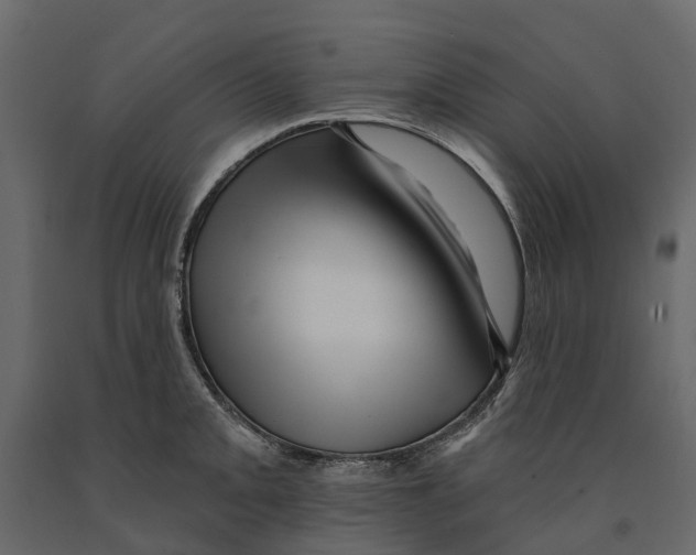 X0000090931093200708271040