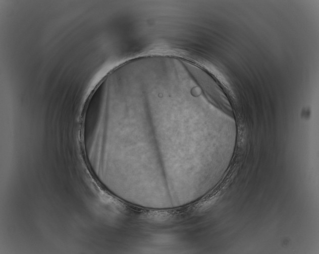 X0000090931094200708271040