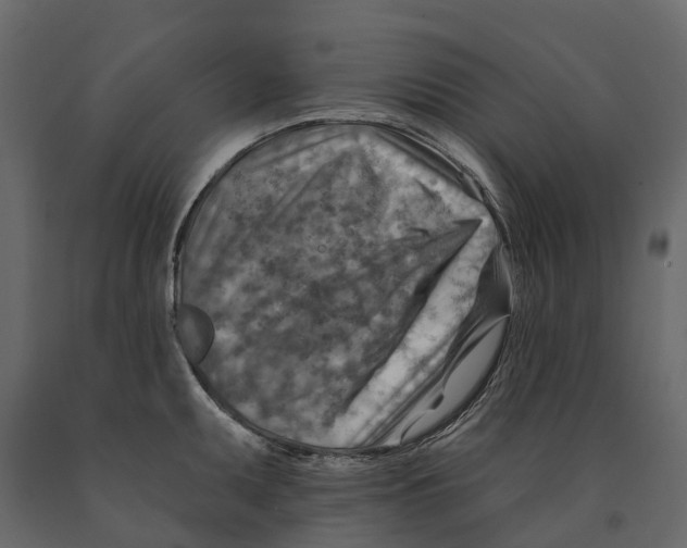 X0000090931095200708271040