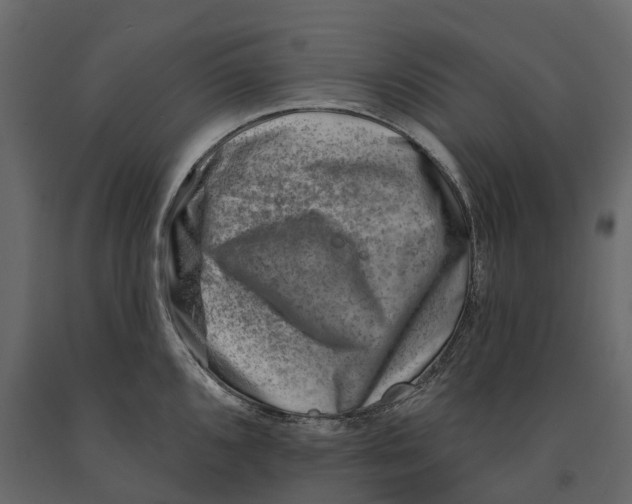 X0000090931096200708271040