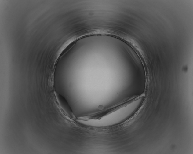 X0000090931097200708271040