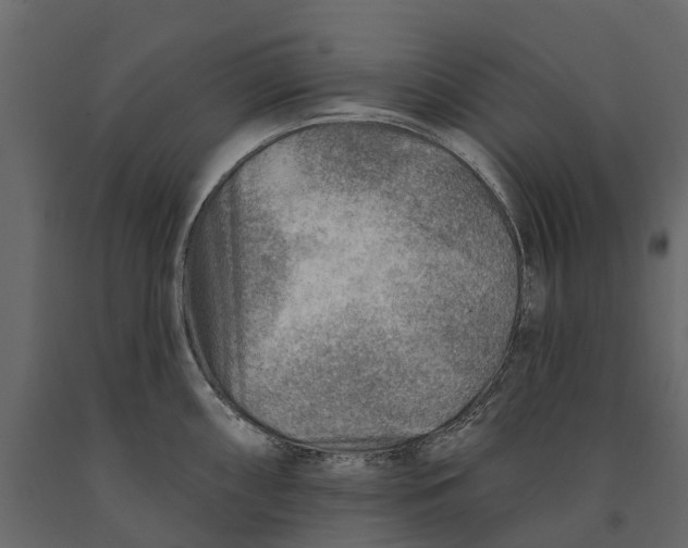 X0000090931098200708271040