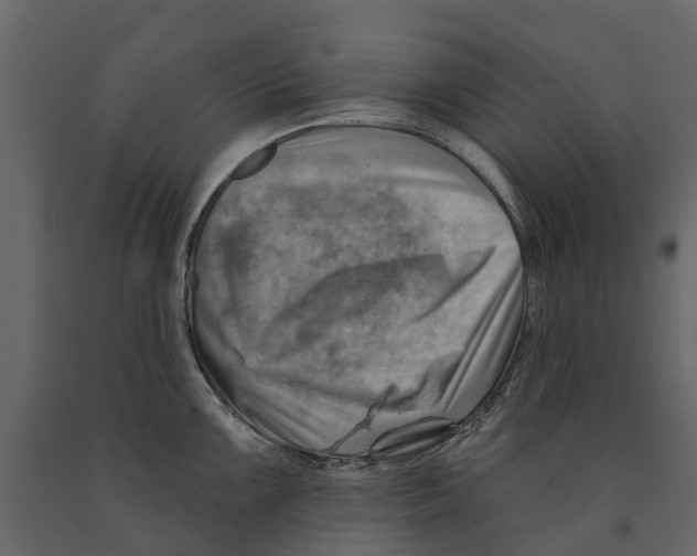 X0000090931099200708271040