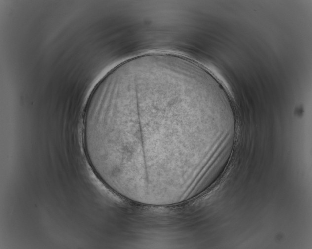 X0000090931100200708271040