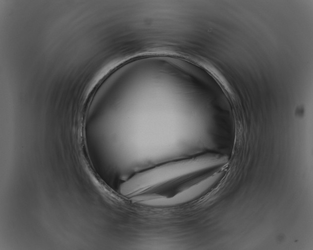 X0000090931101200708271040