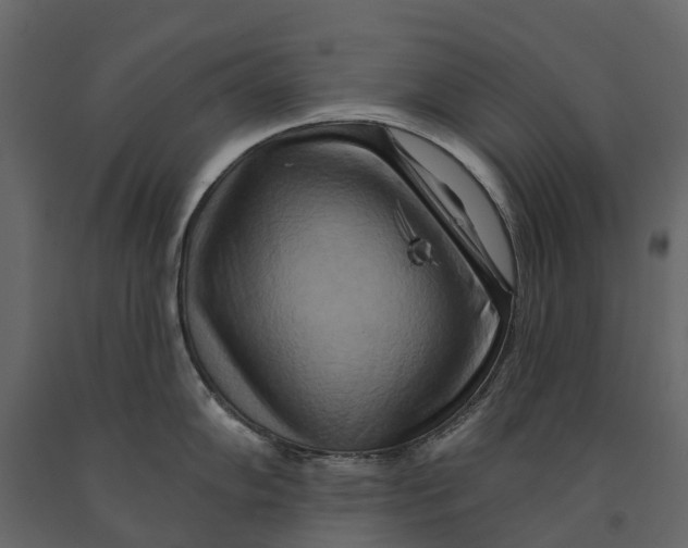 X0000090931102200708271040