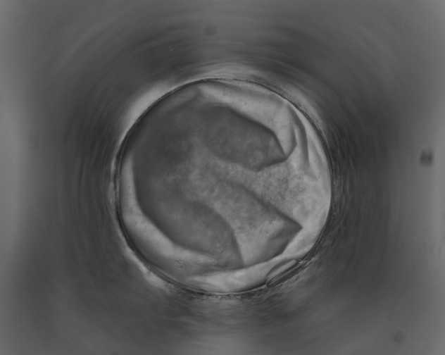 X0000090931103200708271039