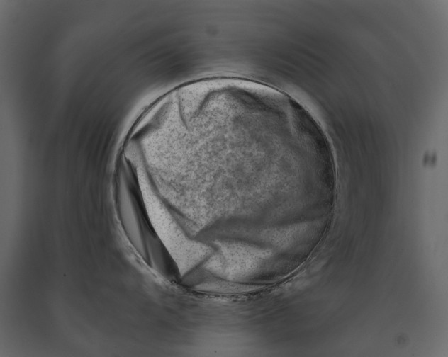 X0000090931104200708271039