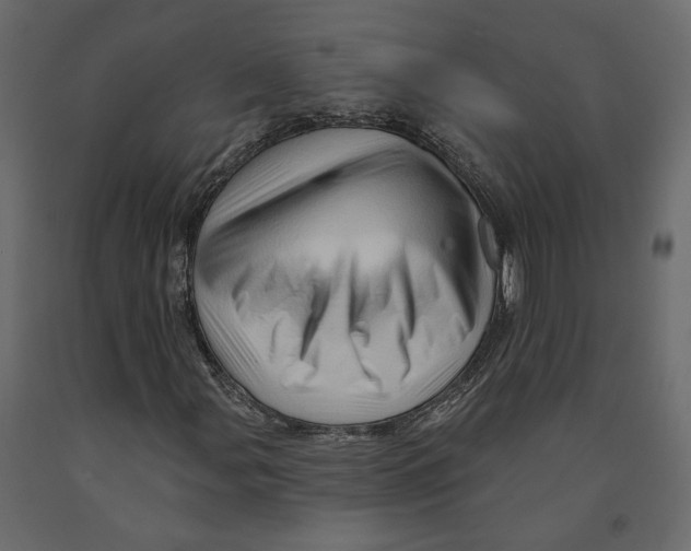 X0000090931107200708271039