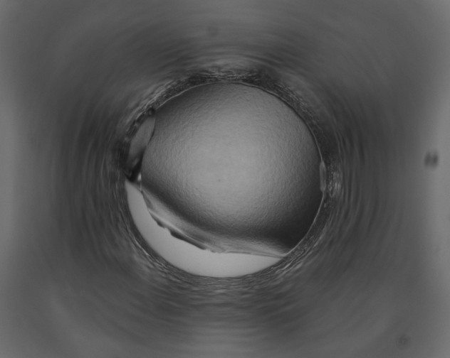 X0000090931108200708271039