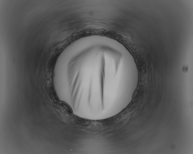 X0000090931109200708271039