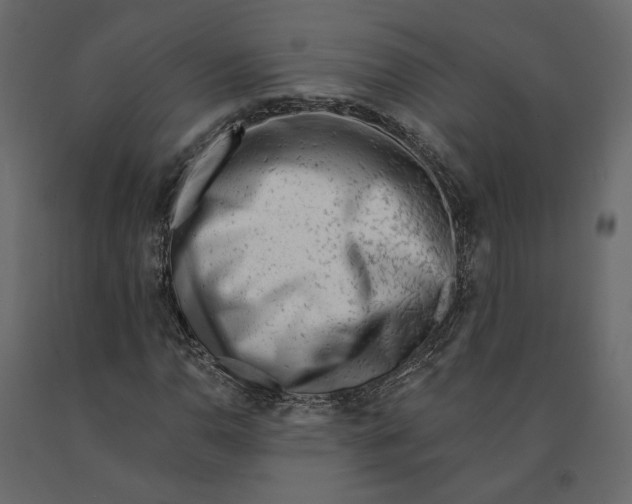 X0000090931110200708271039