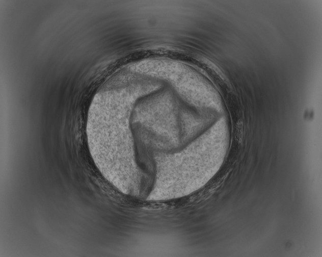 X0000090931111200708271039