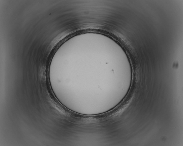 X0000090931113200708271039