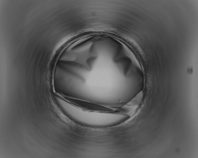 X0000090931114200708271039