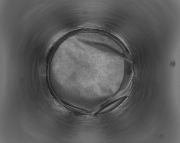 X0000090931115200708271039