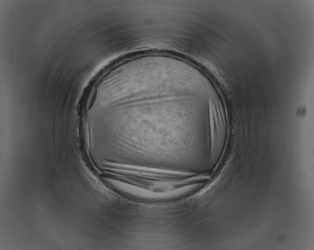 X0000090931118200708271039