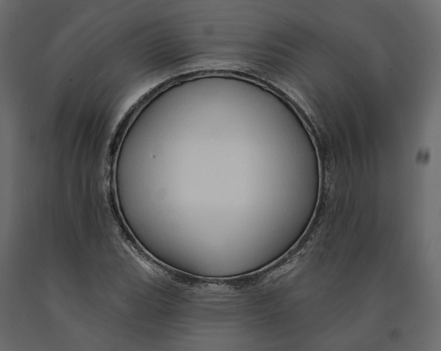 X0000090931119200708271039