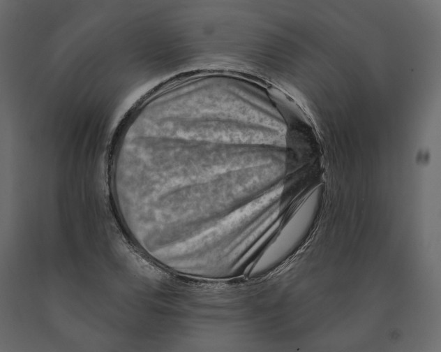 X0000090931120200708271039