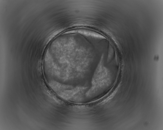 X0000090931121200708271039