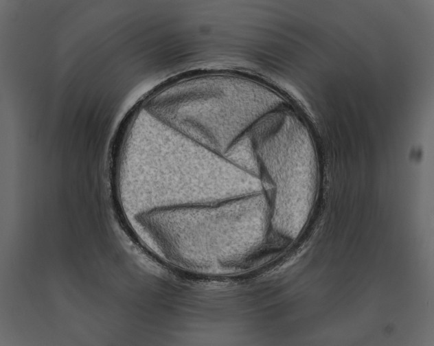 X0000090931122200708271039