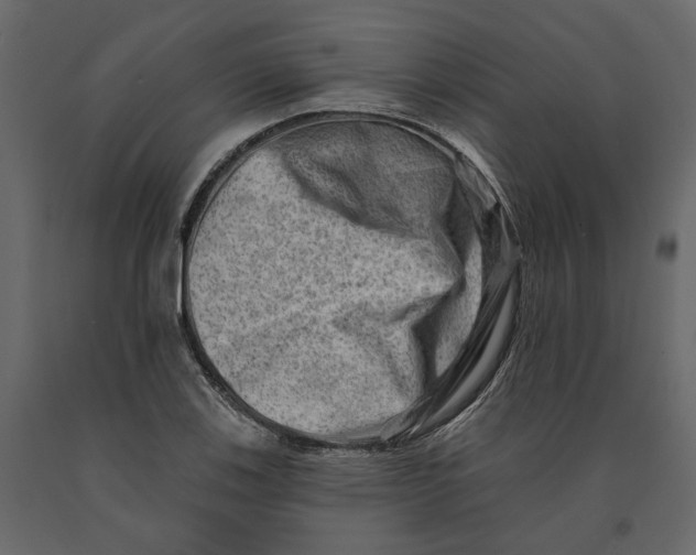 X0000090931123200708271039