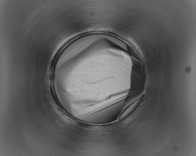 X0000090931124200708271039