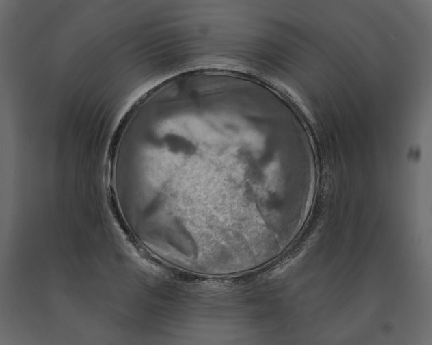 X0000090931125200708271039