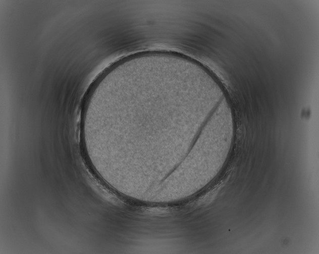 X0000090931126200708271039